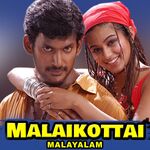 Malaikottai movie poster