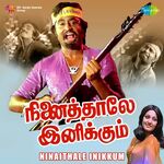 Ninaithale Inikkum movie poster