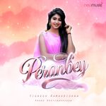 Peranbey movie poster