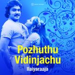 Pozhuthu Vidinchachu movie poster