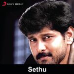 Sethu movie poster