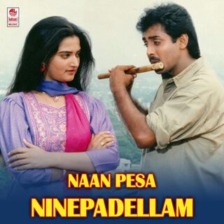 Naan Pesa Ninaipathellam movie poster