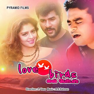 Love Birds movie poster