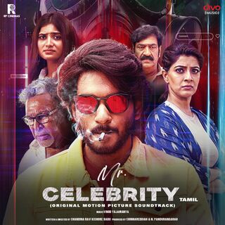 Mr Celebrity movie poster